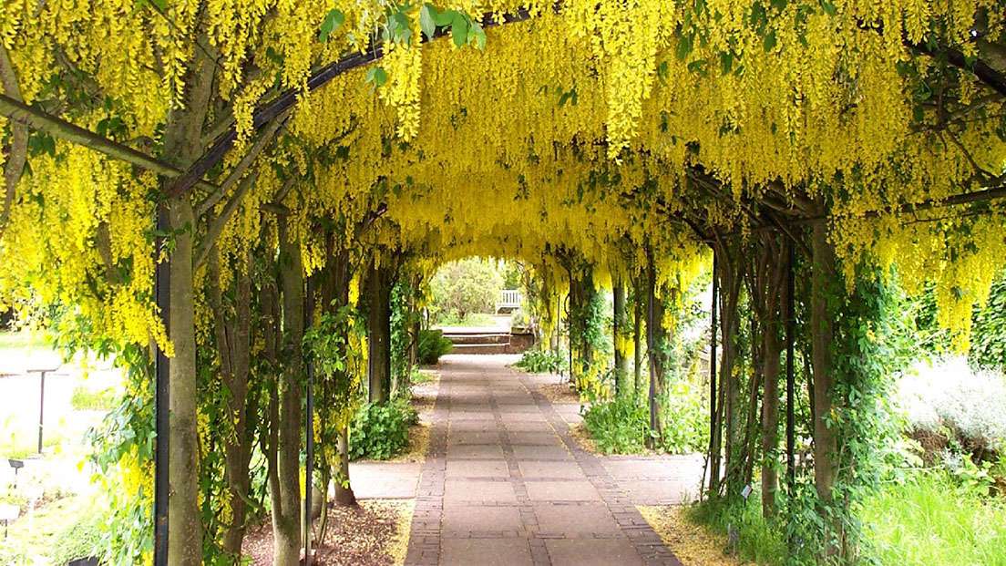 Ness Botanic Gardens